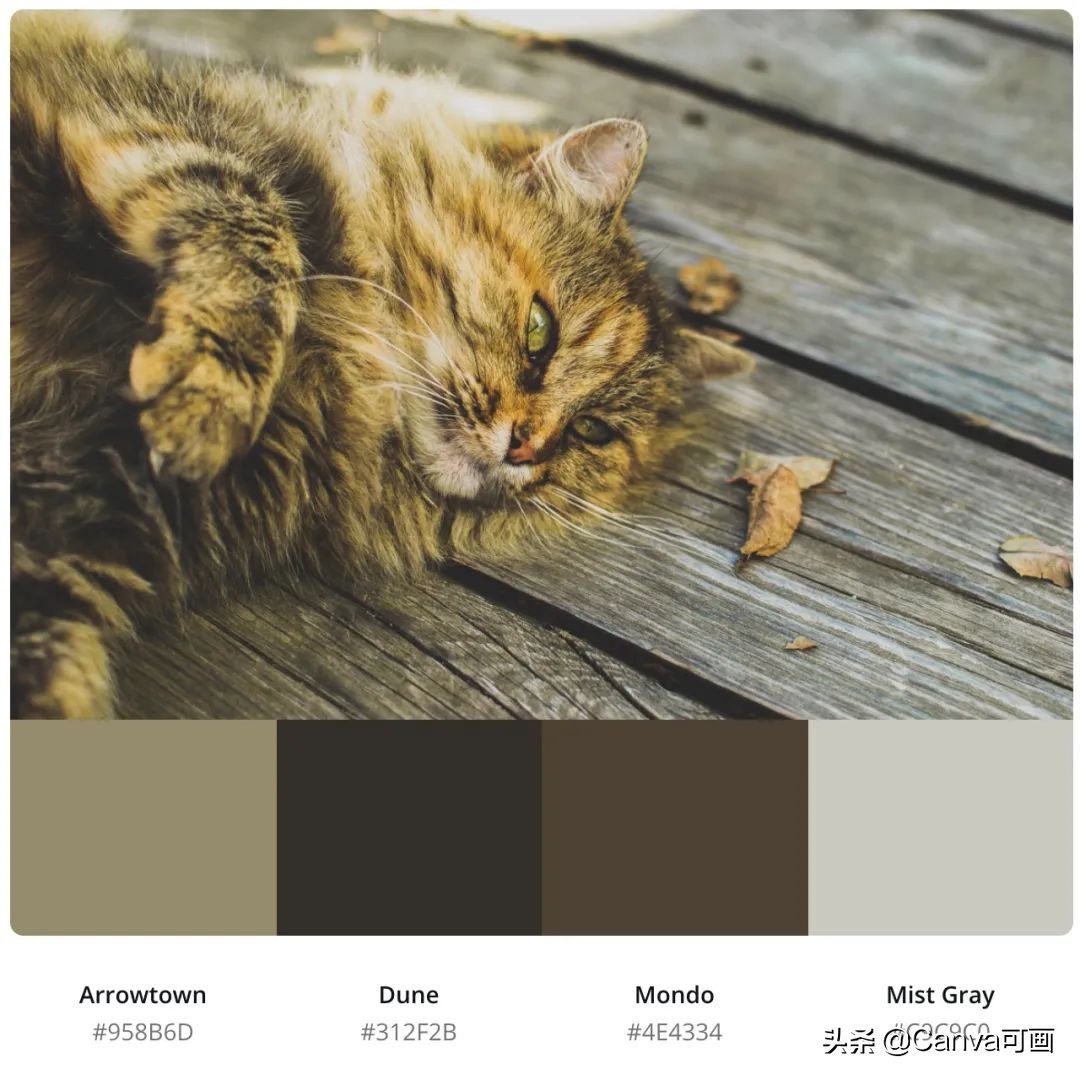 秋天配色插画秋高气爽,秋季高清插画