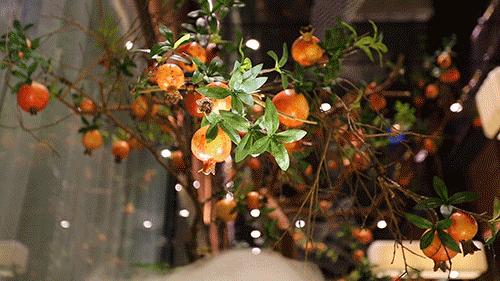 云龙湖环境好的餐厅,云龙湖畔的最美餐厅