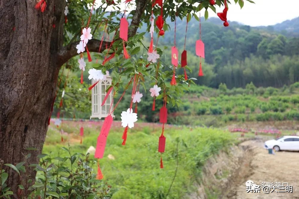 中国最美三明旅游线路,中国绿都泰宁最氧三明