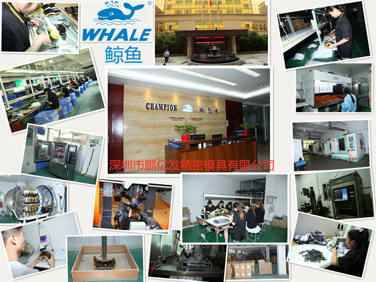 比耐思游泳镜,深圳比耐思滑雪镜