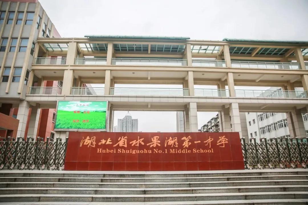 东西湖重点小学排名,武汉水果湖小学排名