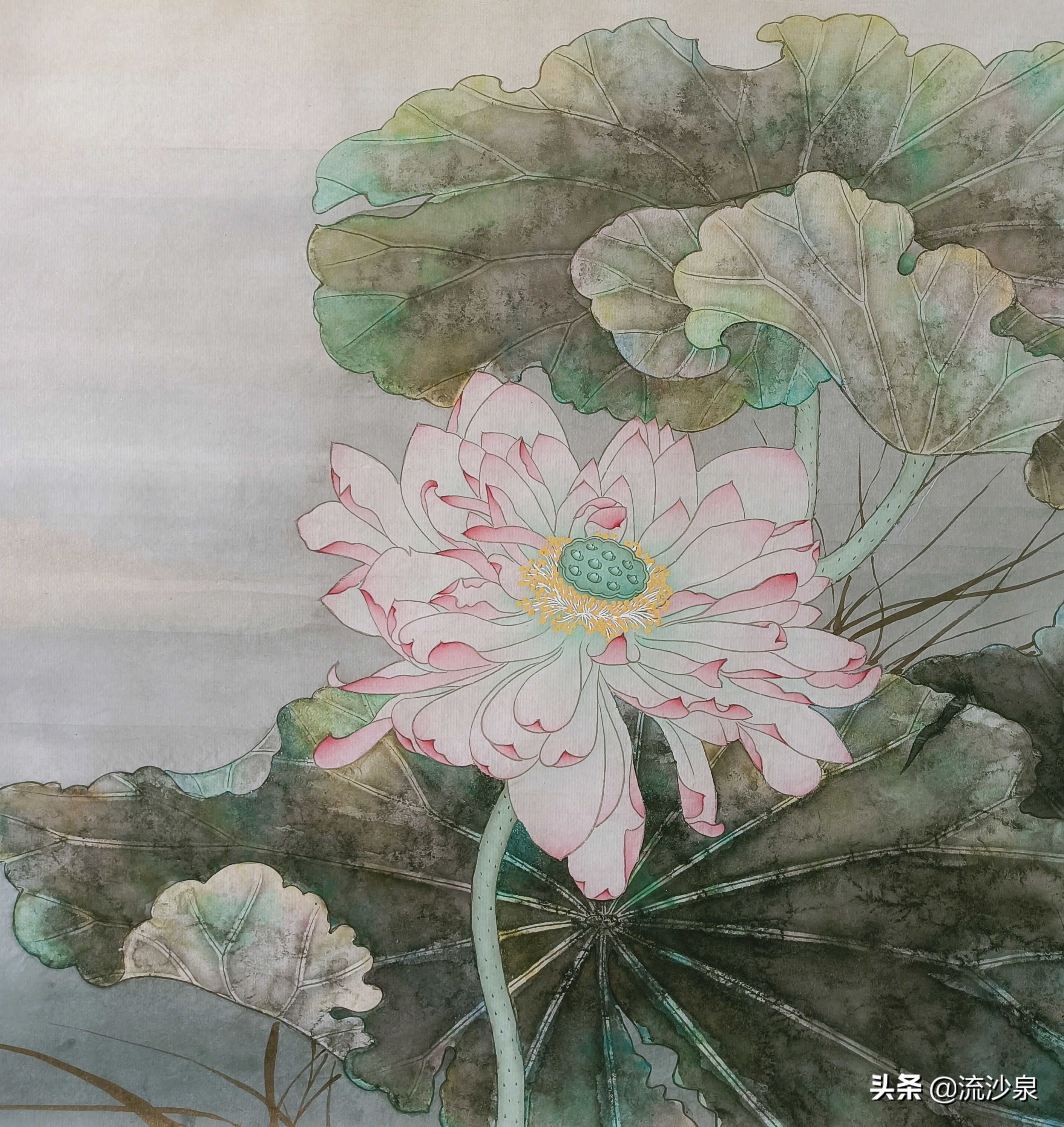 工笔画撒盐法的作品,工笔画上色如何撒盐