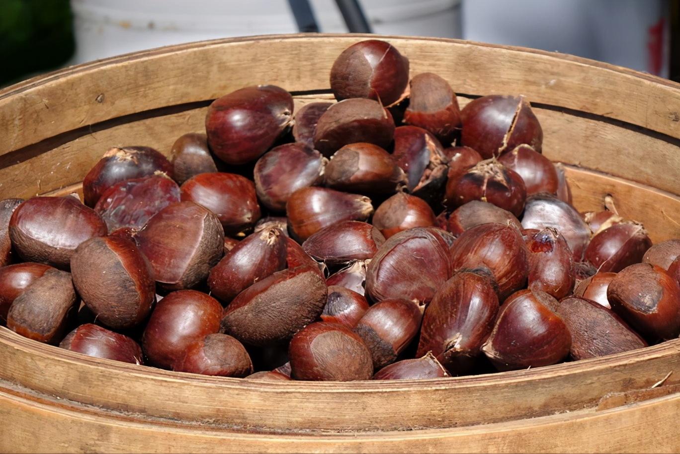 电饭锅怎么煮板栗好吃板栗好剥壳,板栗怎么煮好剥壳又好吃煮几分钟