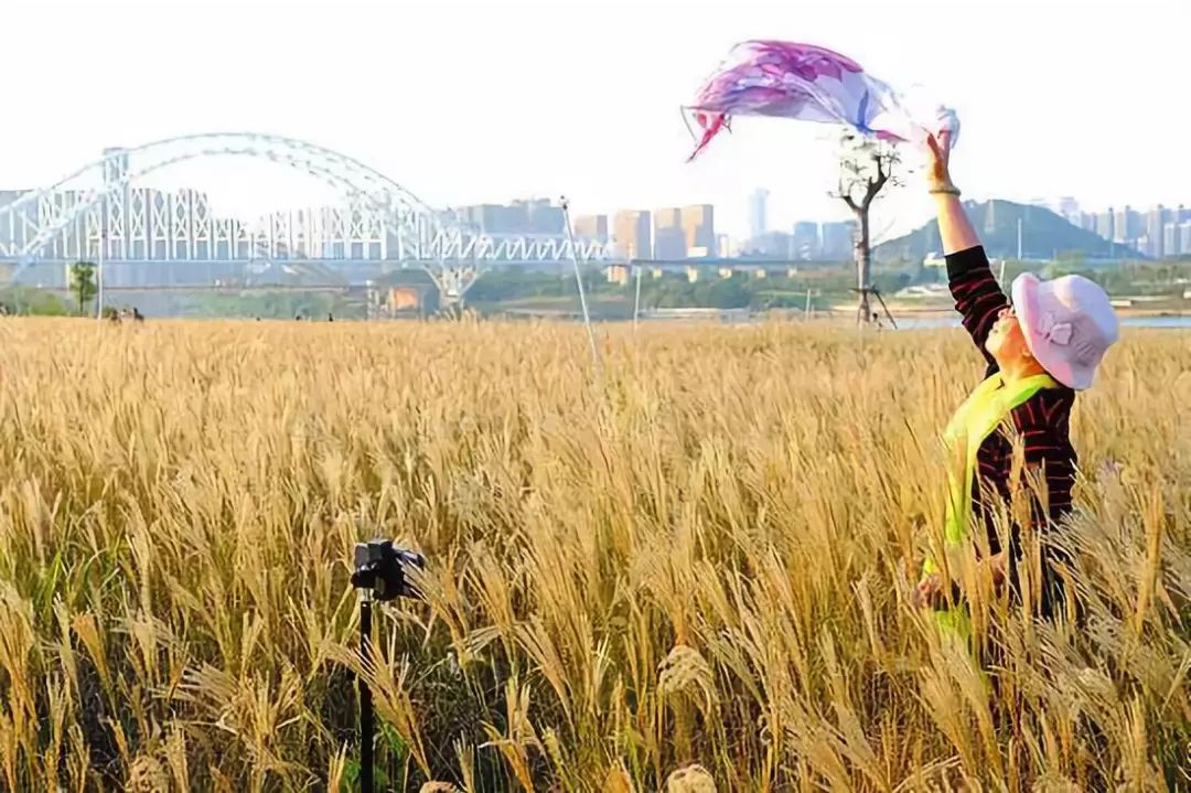 自拍达人全景,南宁自拍拍照博主