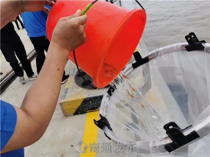 长三角一体化南通新机场及南通港,长三角一体规划南通新机场