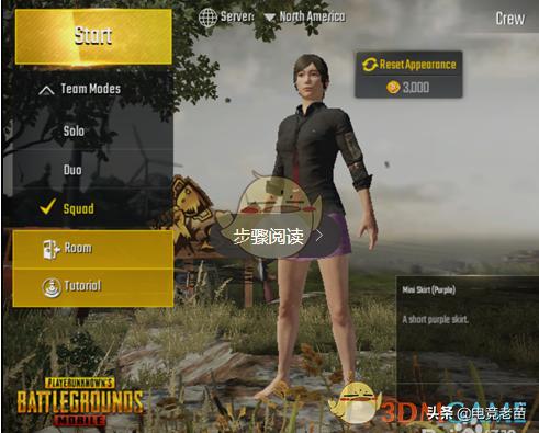 刺激战场美服国际服亚服哪个好玩,刺激战场国际服美服