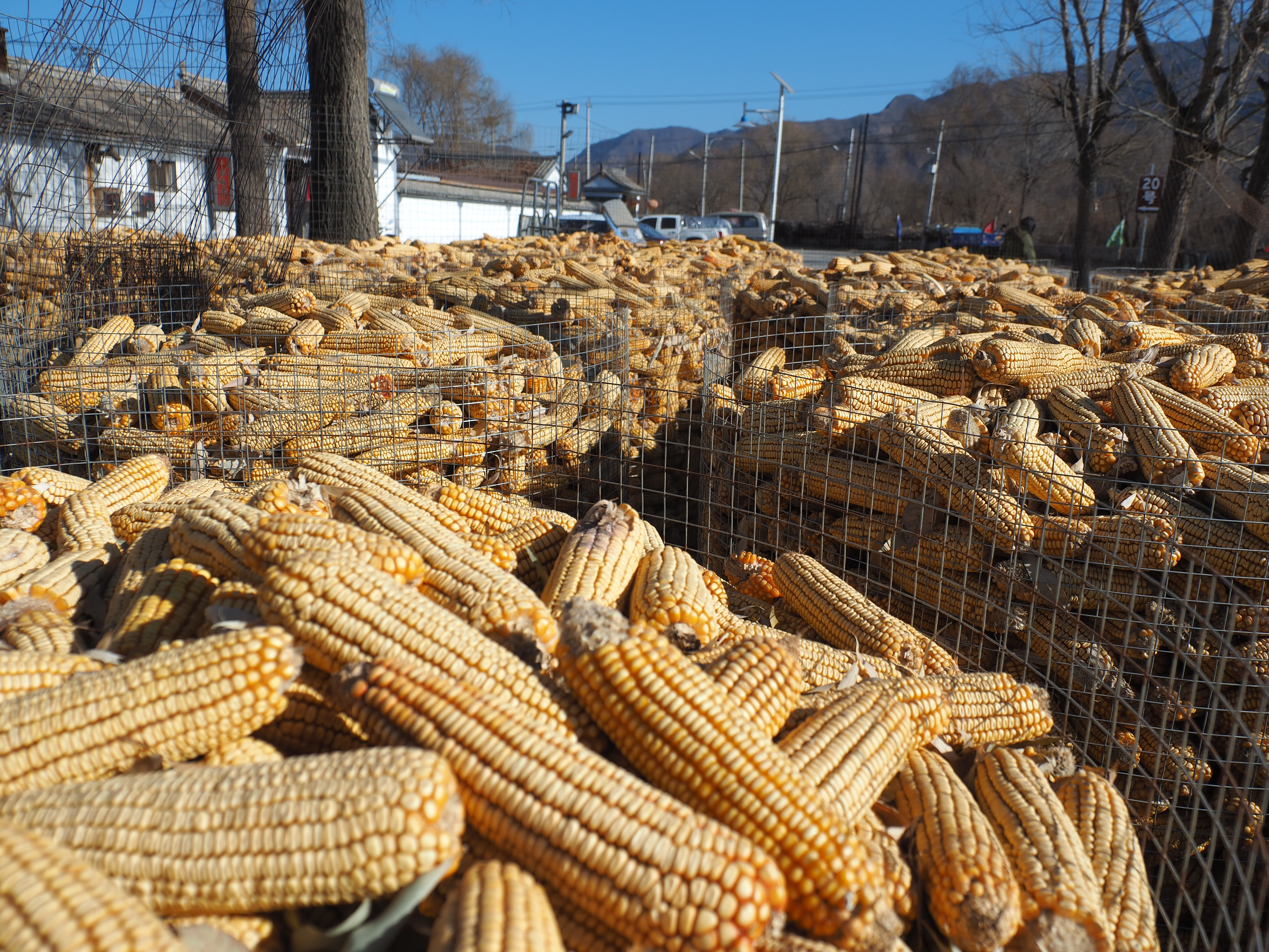 奥林巴斯em5markii使用教程,奥林巴斯em5ii相机使用设置教学
