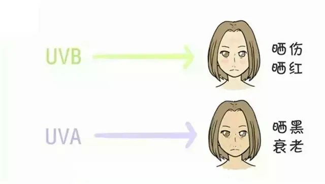 欧莱雅大海防晒霜多久补一次,防晒霜需要多长时间补涂一次