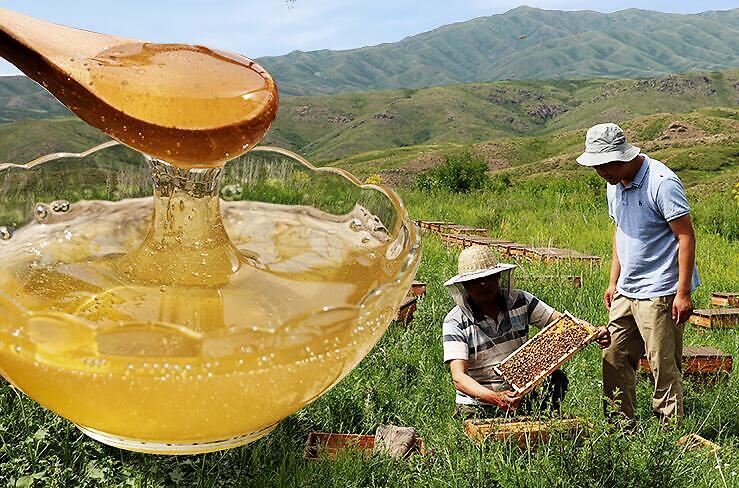 青藏高原藏蜜和一般蜂蜜有区别吗,青藏高原野蜂蜜