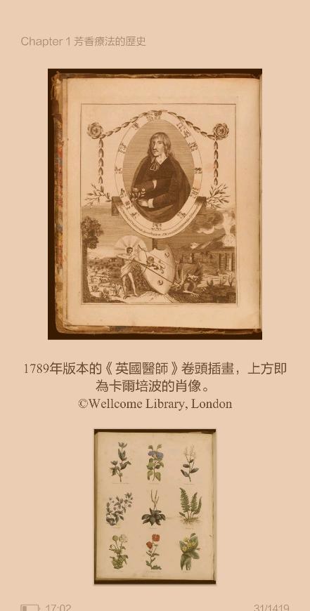 罗马洋甘菊和德国洋甘菊精油,罗马洋甘菊精油可以反复使用