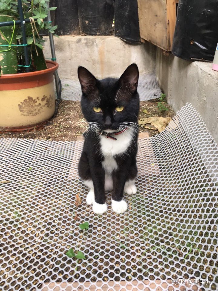 如何提升花种成活率,花种种植生活小技巧