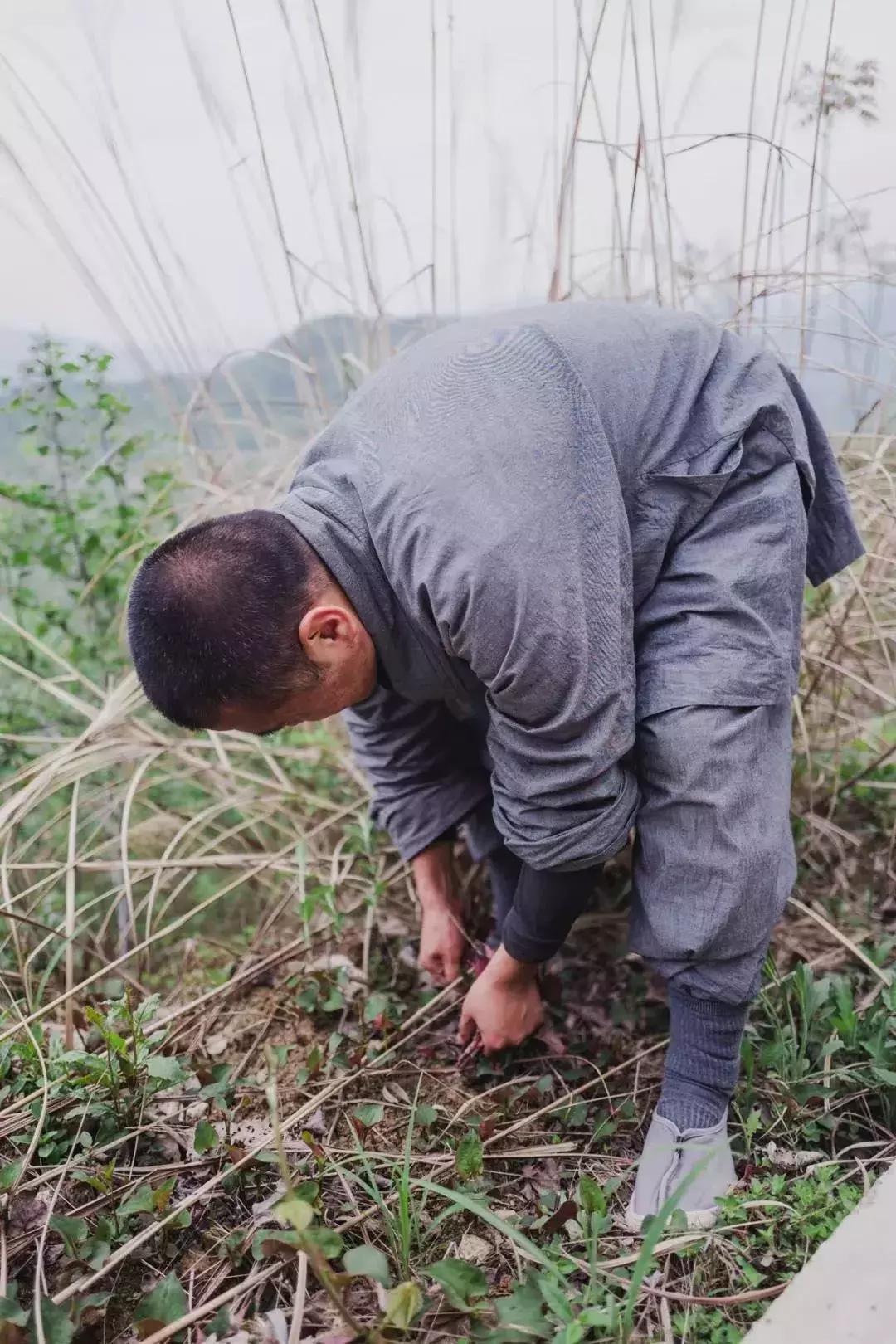 农禅并重的意义,农禅并重的寺院