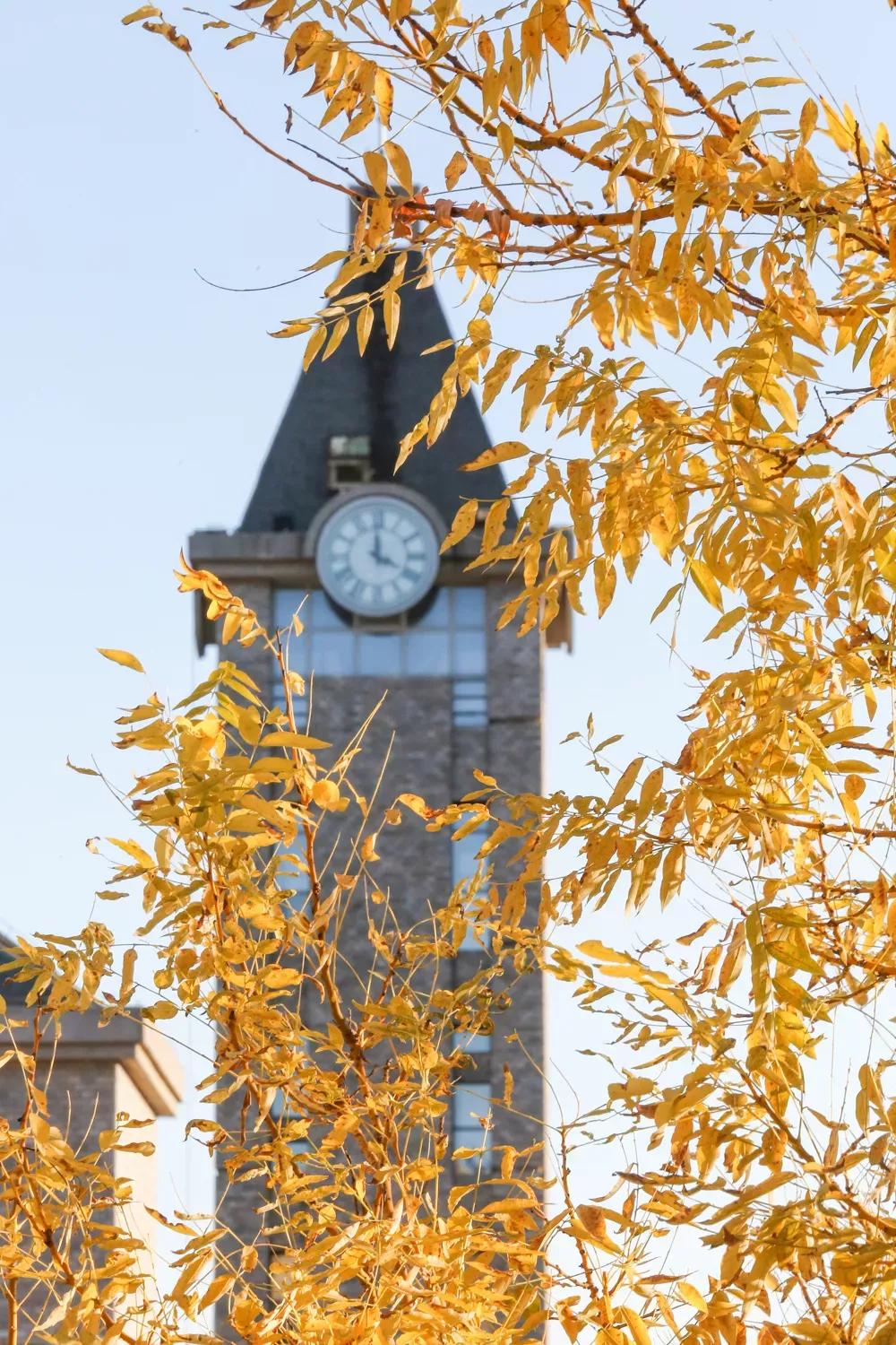 辽宁省民办大学（二）大连东软信息学院