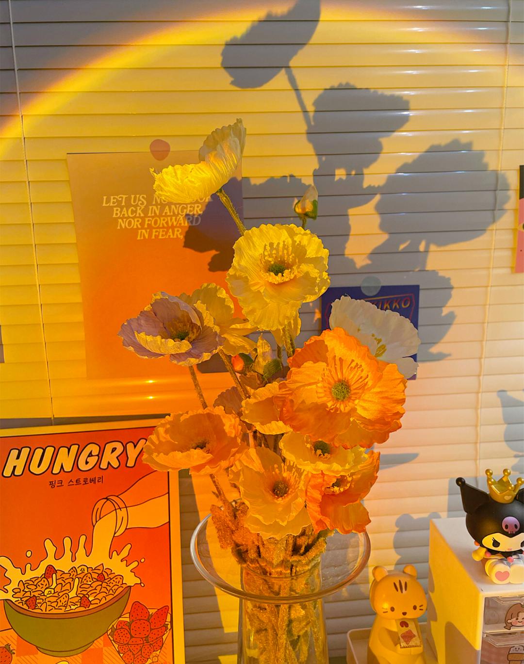 盘点好看的拍照神器软件,出游拍照出片道具