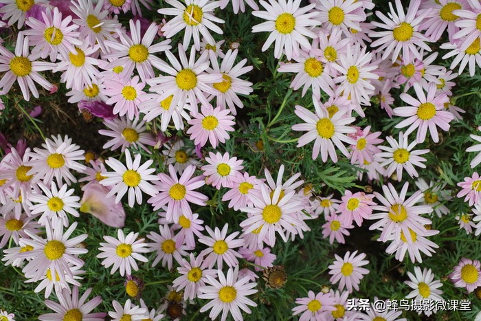 相机测评：理光GR3扫街拍照神器6199元买的不只是情怀