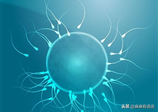 助孕措施,泡脚助孕有用吗