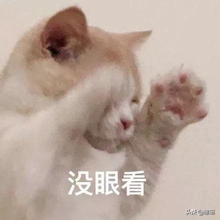 我的天！爱马仕居然出口红了，是真丑还是真香？