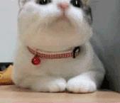 男生最讨厌的穿搭第一名,男生最令人讨厌的穿搭