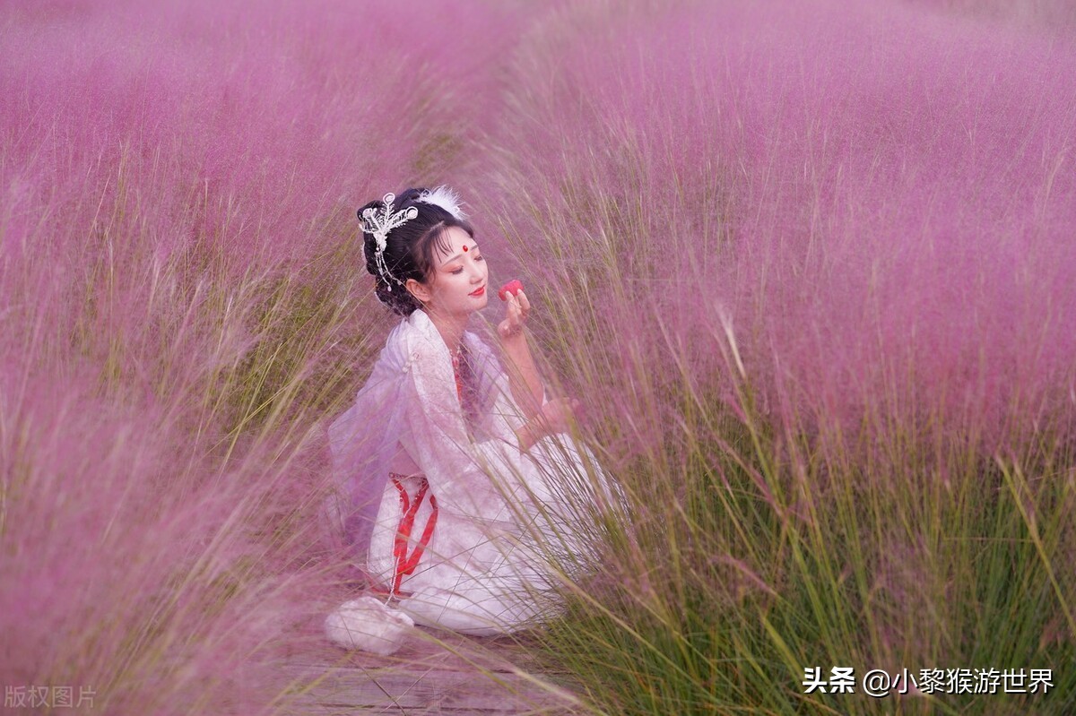 十一国庆苏州景区免费开放,苏州旅游最值得去的十个免费景区