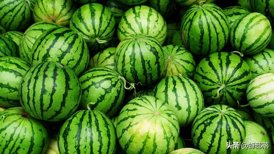 2021农村投资什么行业前景好,2019农村创业好项目投资小利润大