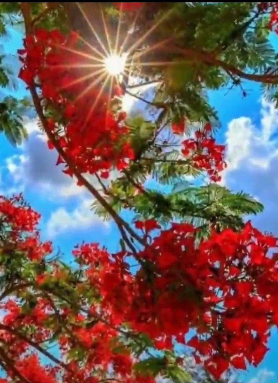 怎样起相同的名字,给三人群起个好名字