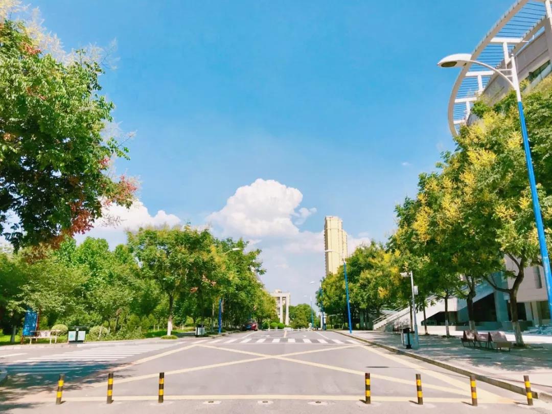 志愿填报英语专业,西安外国语大学征集志愿2023