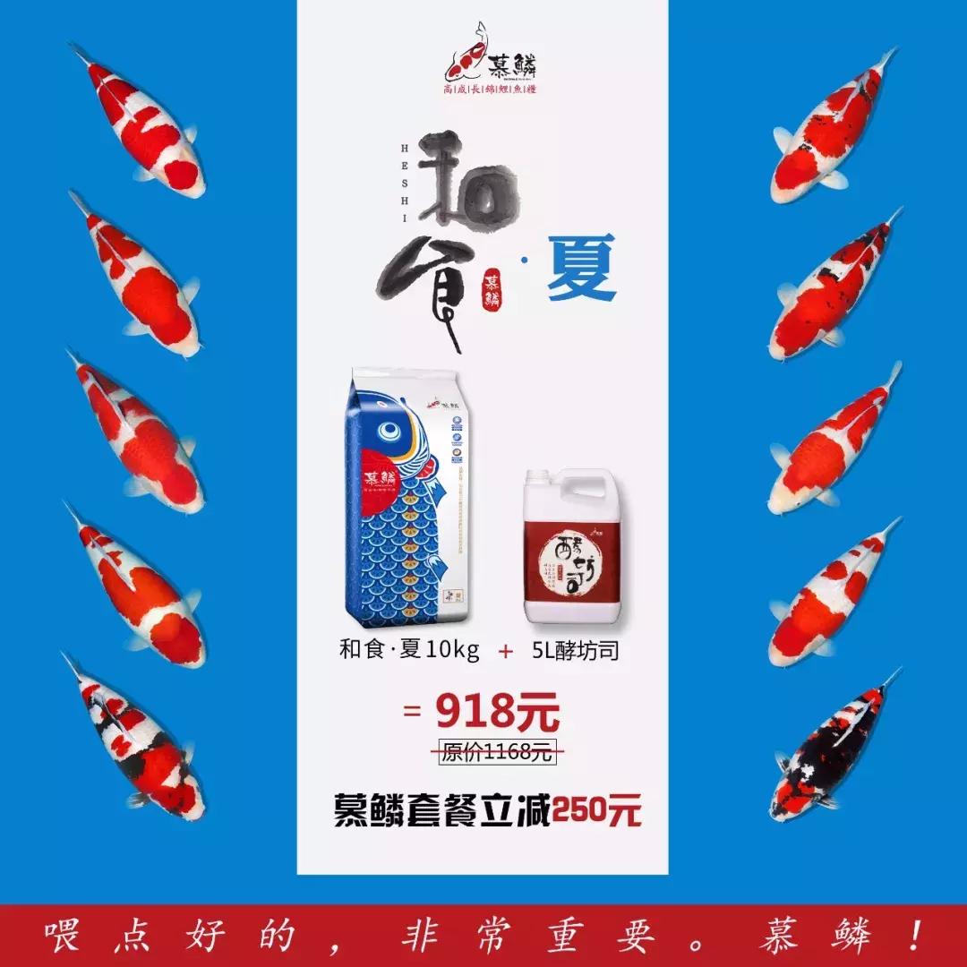 全场八折优惠活动正在火爆进行中,锦鲤网上商城