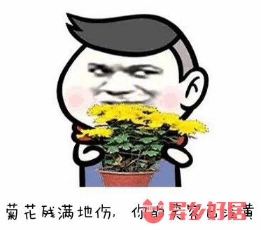 加拿大租房,皇后大学买买买必备精品攻略【二】