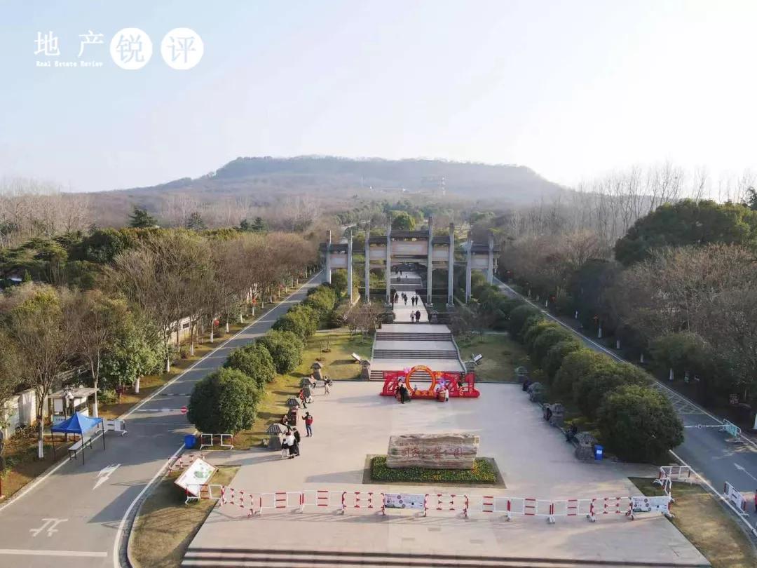 看完就想下手!买房人为何宠爱这款“流量担当”?