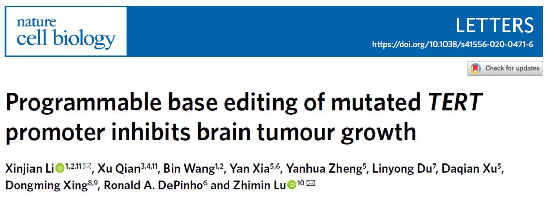 基因编辑治疗癌症新突破：浙大吕志民团队通过CRISPR抑制肿瘤生长