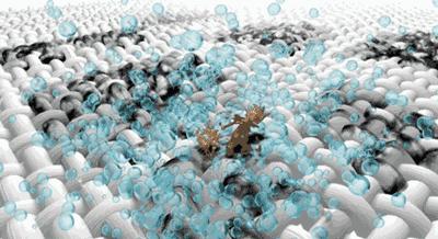 内衣裤发黄怎么清洗干净,发黄的内衣裤有细菌吗