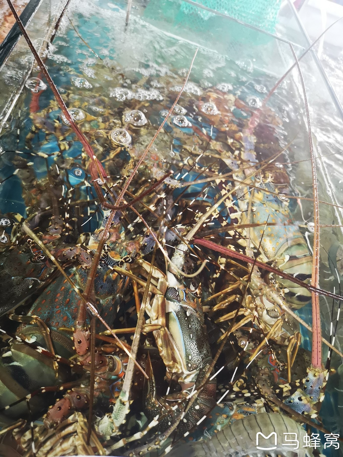 三亚夏天的海和冬天的海,三亚冬天如夏