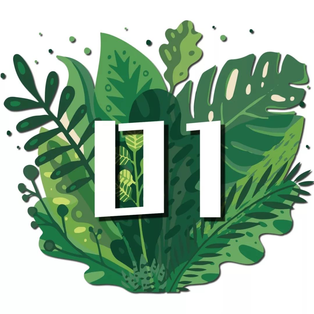 把菜园搬到超市,把菜园搬到家门口