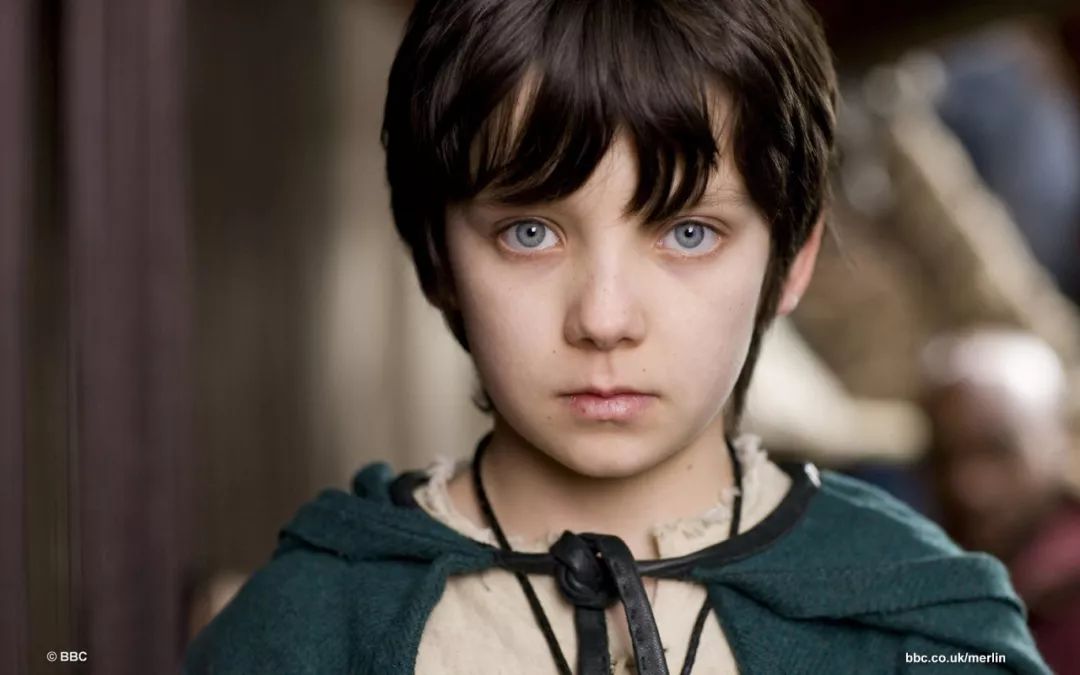 伦敦f4年龄,伦敦f4哈利波特