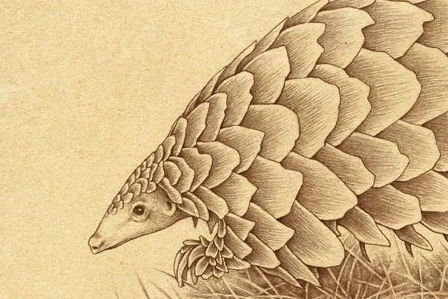 我不是药神真的能救吗,我不是药神穷病救不了台词