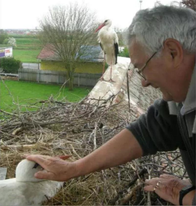 18年感人的爱情故事视频,18年的爱情故事