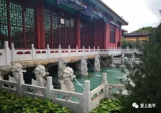 冷冬来袭,寒潮来袭快收下这份过冬锦囊吧