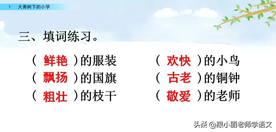 大青树下的小学必会知识点,大青树下的小学必考知识点