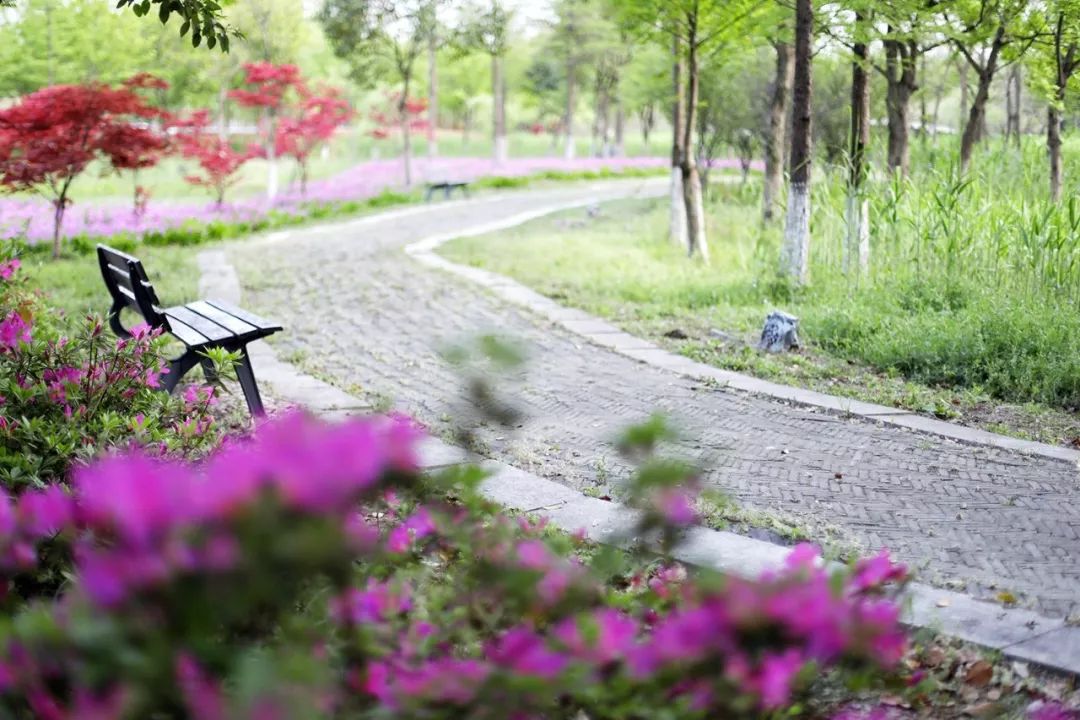 沙家浜旅游推荐,沙家浜夜游都有哪些好玩的