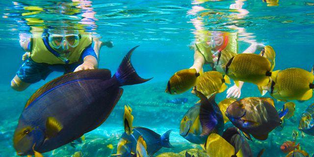 毛里求斯旅游攻略三天自驾,2018毛里求斯旅游攻略