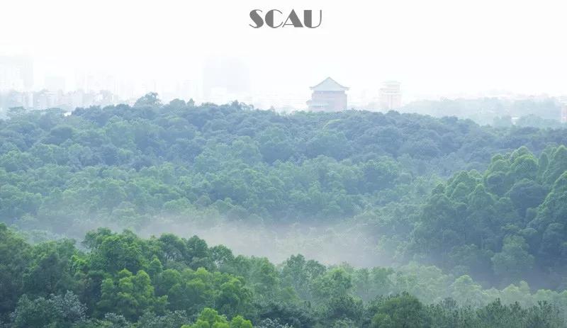 广东省特殊学校一览表,广东本科免学费的学校