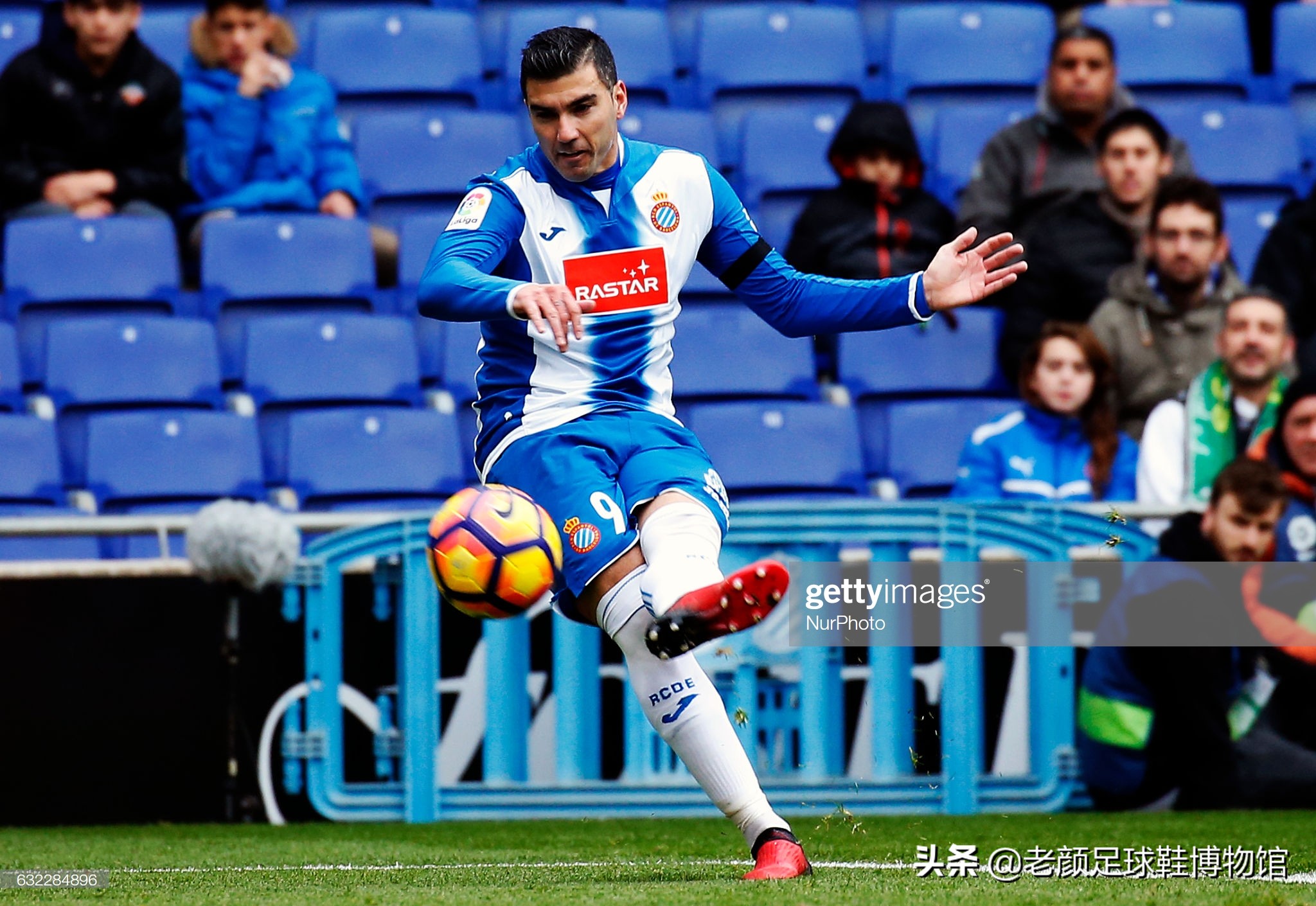 悲伤笼罩,悲伤笼罩巴黎