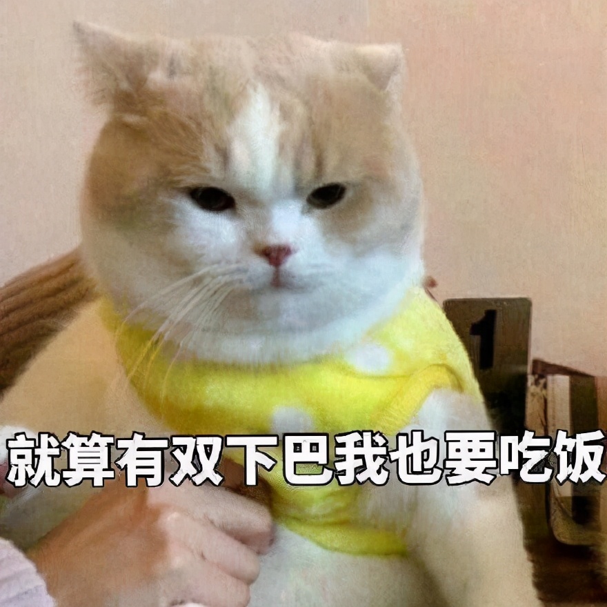 为什么猫总是喵喵叫,为什么猫经常会发出咕噜的声音