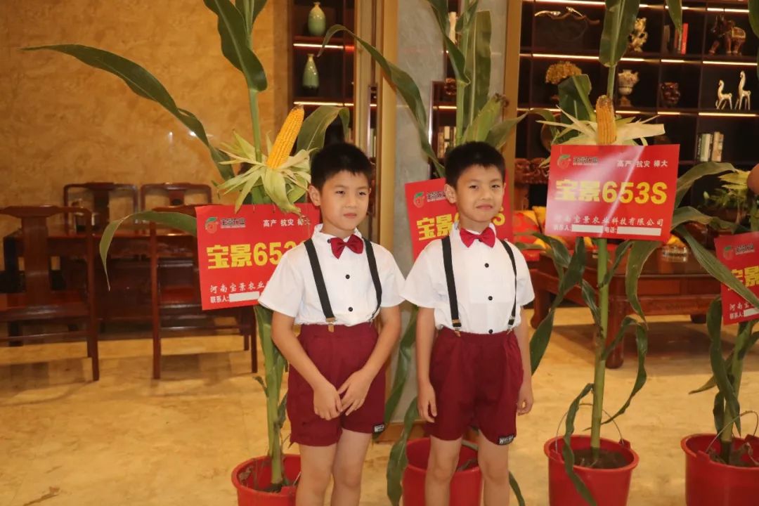 宝景农业,转变思路种地挣钱