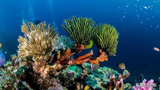 泰国哪些海岛值得去旅游,泰国岛屿排名前十海岛