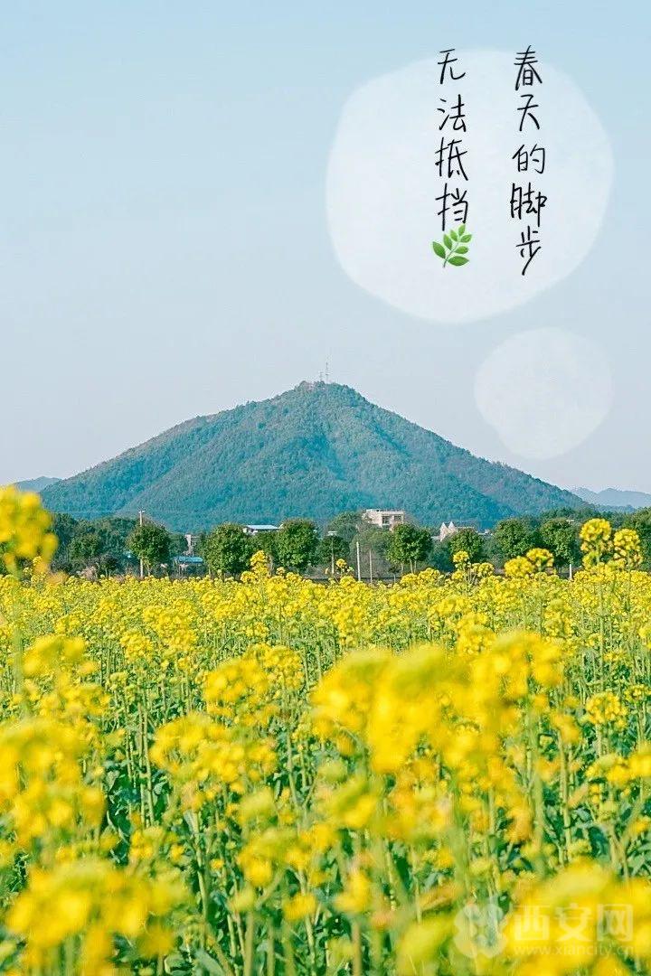 想见你，五彩缤纷的蓝田！「图」