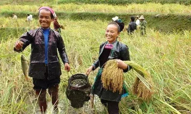 餐饮店商业模式盈利模式,餐饮行业成功开店的6种商圈解析