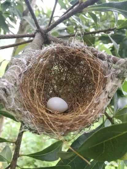 一个70后的自白,80后曾经的小学生活真实写照