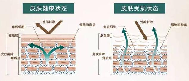 去角质的正确使用方法和步骤,角质层薄用什么去角质比较好