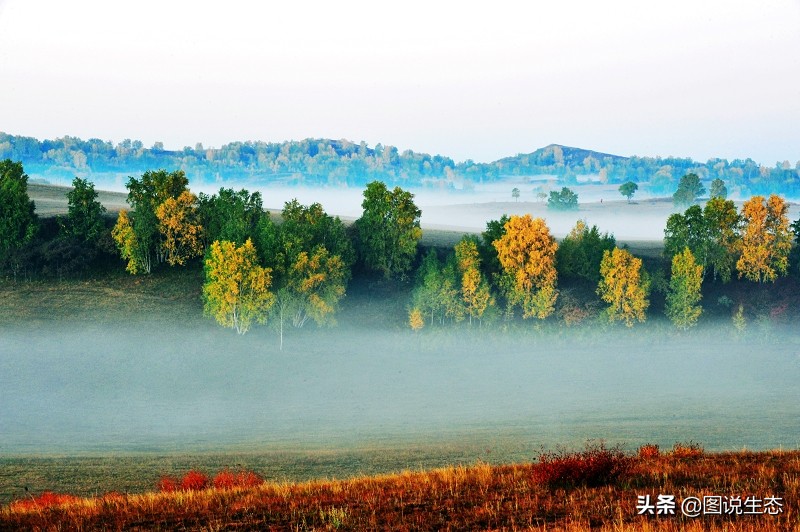 塞罕坝国家森林公园门票价格,塞罕坝2022年收门票吗
